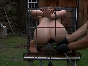 Encierra tus deseos con nuestro esclavo de jaula BDSM al aire libre.