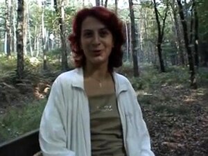 zorra pelirroja se desnuda en el bosque