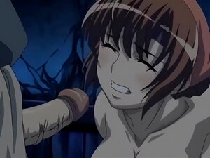 Samurai Hormone la animación 01