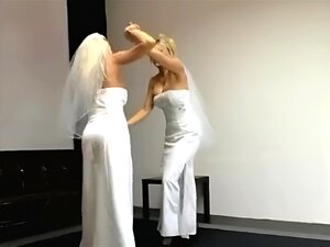 lucha de gatas entre mujeres