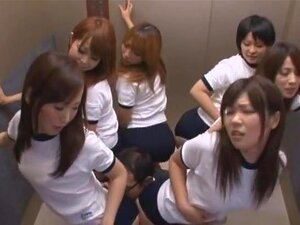 18 Bloomers, 18 Bloomers... 18 chicas en un video, atendiendo a un