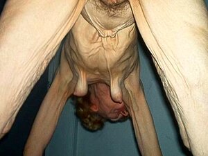 Abuelas OMAFOTZE con grandes culos. Abuelas viejas muestran sus